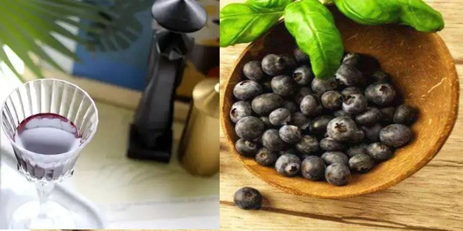 Maqui Berry Juice Powder Maqui Berry Juice Powder