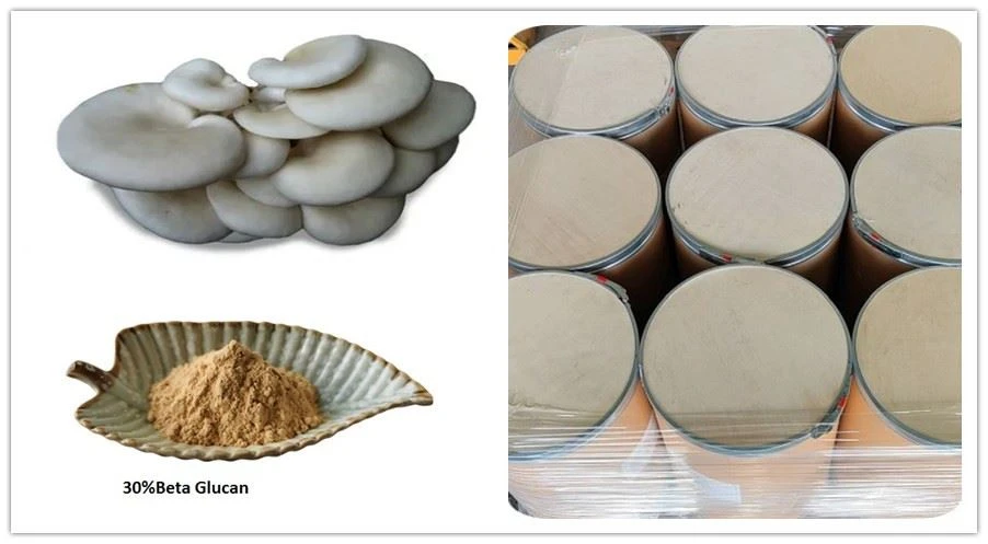 Oyster Mushroom Beta-Glucan (2)