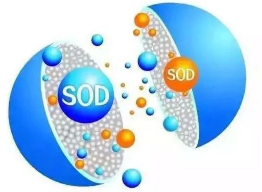 sod dismutase
