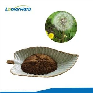 Pols d'extracte de dent de lleó