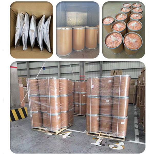 Atractylodes Macrocephala Extract