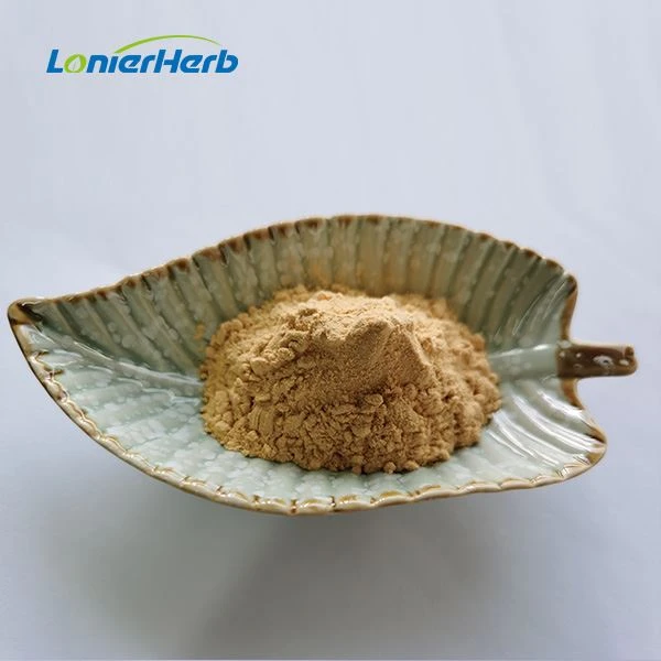 Oyster Mushroom Beta-Glucan